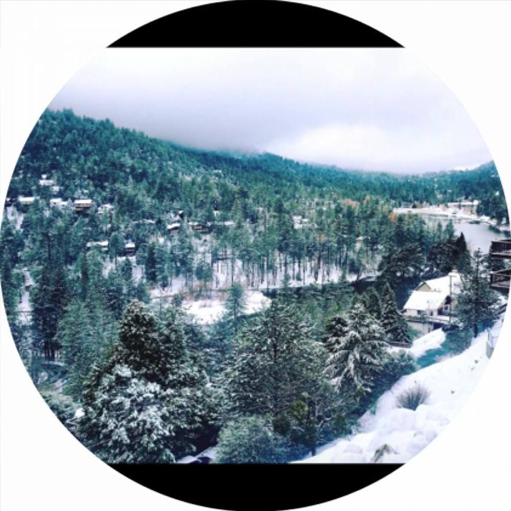 Meet your Posher, Wendy